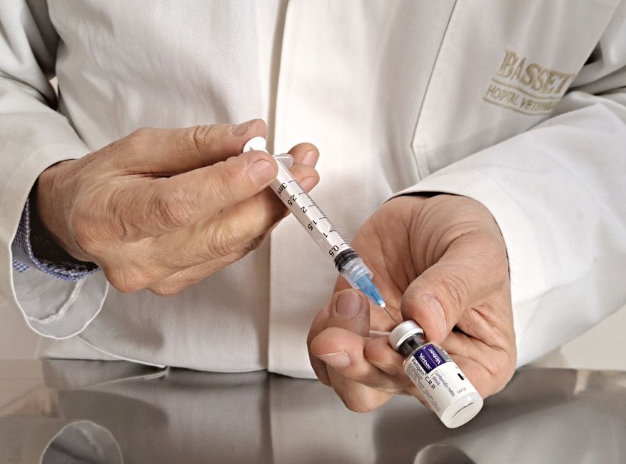 Dog Vaccination Schedule by Breed & Age: The Vet Tech Guide (2026)