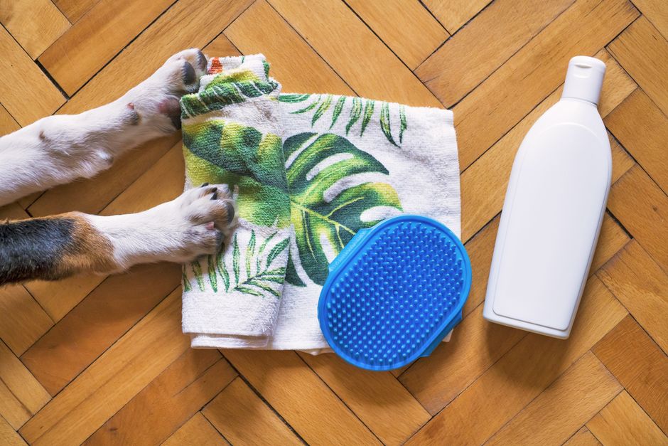 Bathing Dogs With Sensitive Skin: How Often Is Safe?