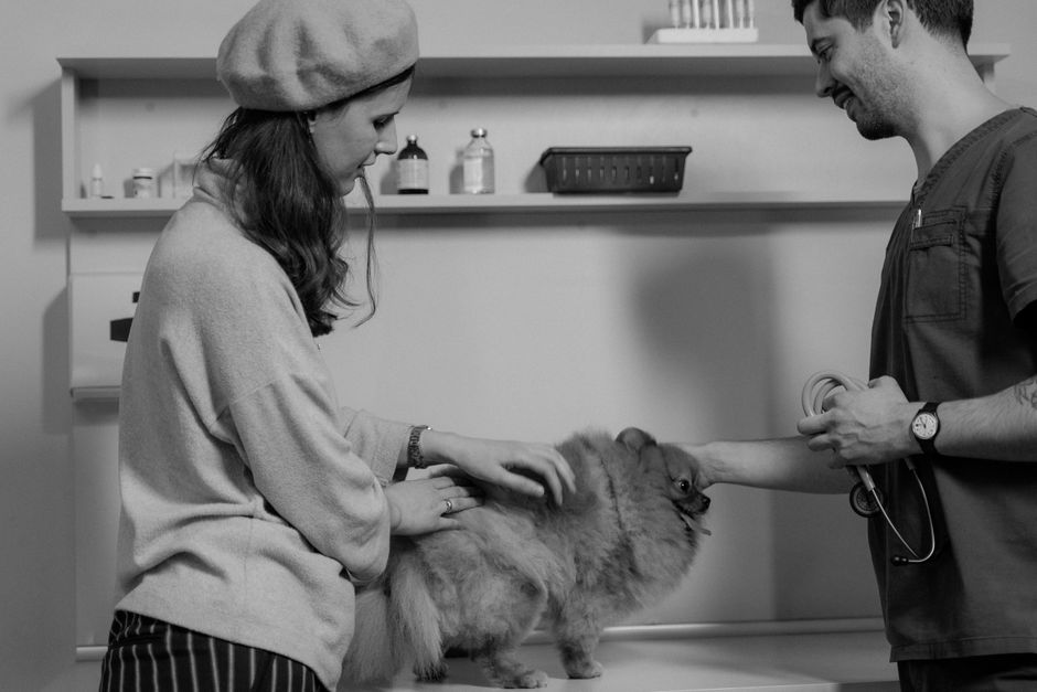 Which Dog Breeds Face the Most Health Problems