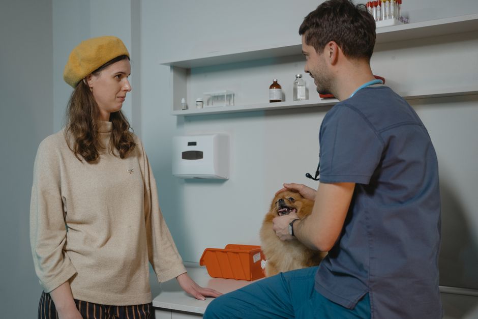 Does Gabapentin Really Work For Your Dog's Pain?