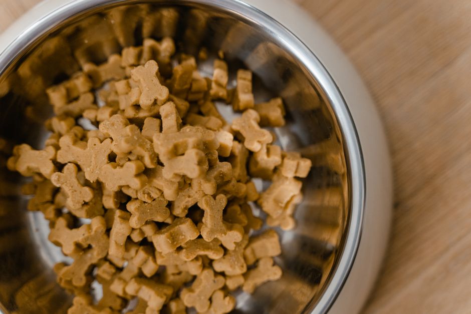 Pedigree Recall July 2026: What Dog Owners Need to Do Now